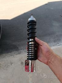 Ammortizzatori piaggio px