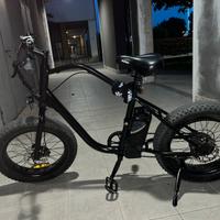 bicicletta elettrica