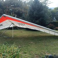 Icaro 2000 - Laminar 14