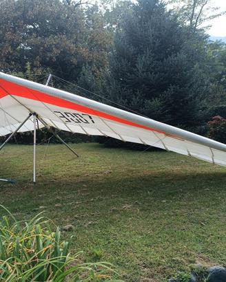 Icaro 2000 - Laminar 14