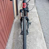 bici pedalata assistita