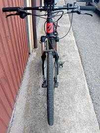 bici pedalata assistita