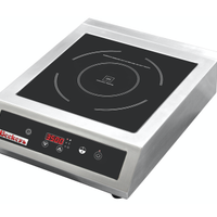 Piastra a induzione IND 350 E XL
