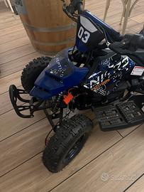 Quad elettrico
