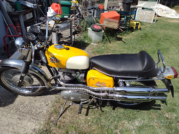 BSA 650CC modello A65FS Firebird Scrambler