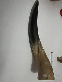 Corno
