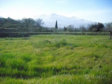Terreno agricolo