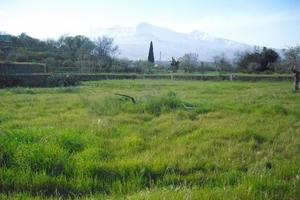 Terreno agricolo