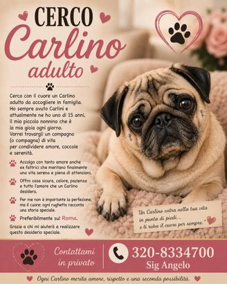 Carlino adulto