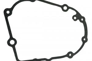 Guarnizione coperchio alternatore Peugeot Eliseo -