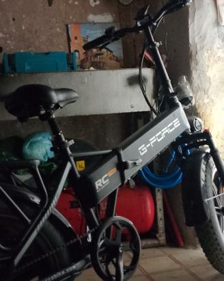 Bici elettrica 750