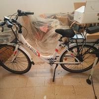 bicicletta elettrica 