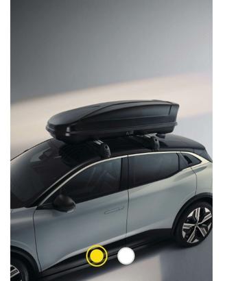 Ricerco BARRE e BAULE Box tetto Renault Captur