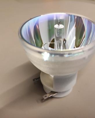 lampadina 