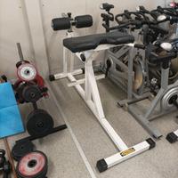 Panca hiperextension Tecnogym