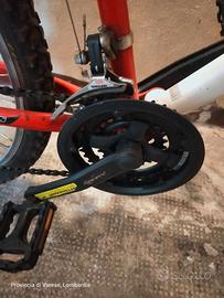 Mountain-bike