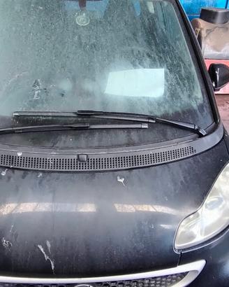 SMART 451 PARABREZZA