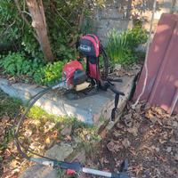 Decespugliatore Geotec 36cc