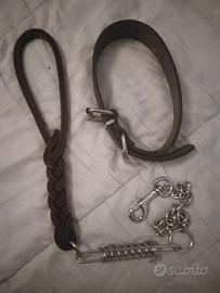 collare e guinzaglio per cani di grossa stazza