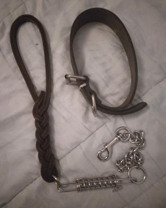 collare e guinzaglio per cani di grossa stazza