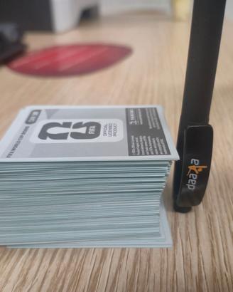 Figurine panini