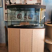 Acquario Askoll Tenerif 150 filtro pratiko 300 ecc