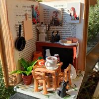 Libro con all'interno mini cucina.