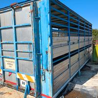 gabbia trasporto animali 