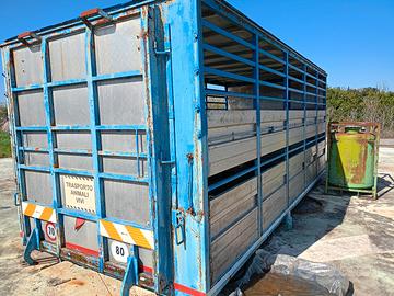 gabbia trasporto animali 