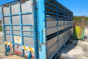 gabbia trasporto animali 