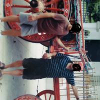 Carro  a quattro ruote per buoi