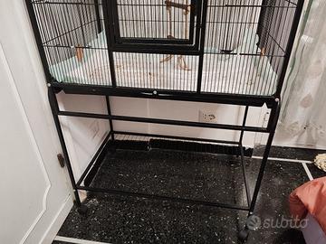 voliera per pappagalli 