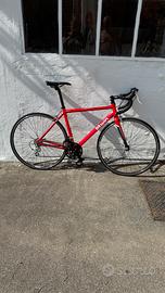 Bici da corsa