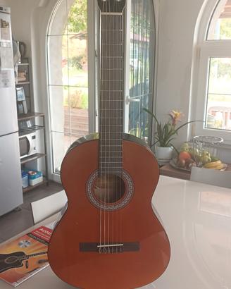 chitarra acustica navarra
