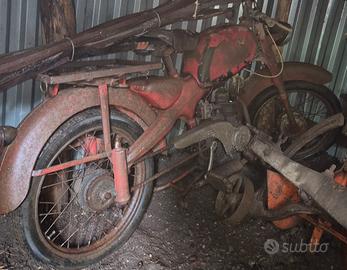 Motom 50 cc