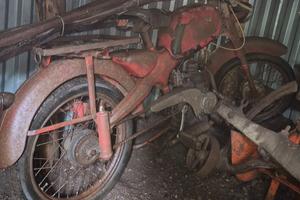 Motom 50 cc