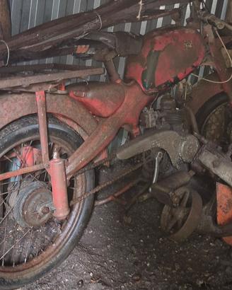 Motom 50 cc