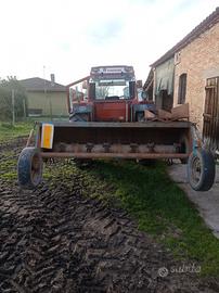 trinciastocchi Nobili