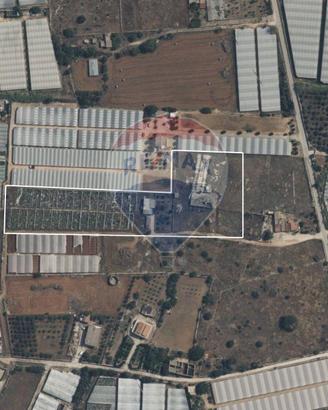 Terreno - Santa Croce Camerina