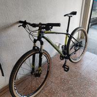 specialized 29