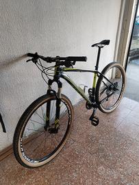 specialized 29