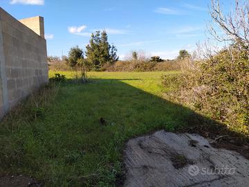 Terreno Seminativo Martano