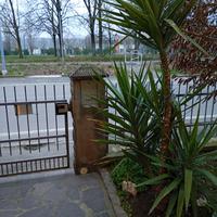 X GIARDINO IN VASO EURO 39 YUCCA METRI 2.50