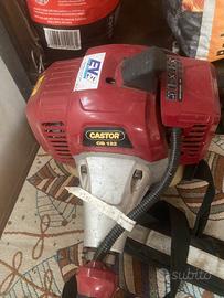 Decespugliatore a motore