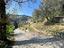 Immagine 14