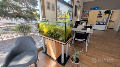acquario