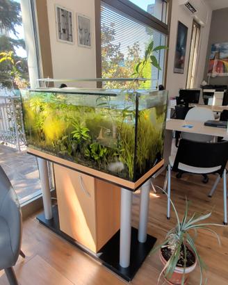 acquario