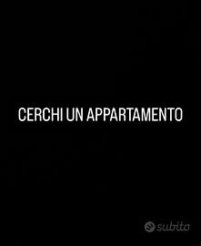 Cerchi un appartamento