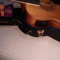 Chitarra Larivee LV05