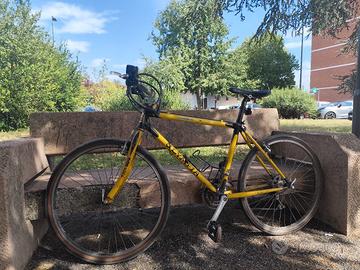 Bici da uomo gravel 26" Olimpia